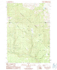 Download a high-resolution, GPS-compatible USGS topo map for Whiskey Mountain, OR (1990 edition)