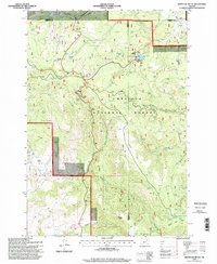 Download a high-resolution, GPS-compatible USGS topo map for Whitetail Butte, OR (1998 edition)