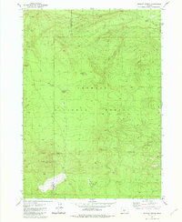 Download a high-resolution, GPS-compatible USGS topo map for Wickiup Spring, OR (1982 edition)