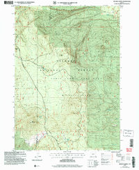 Download a high-resolution, GPS-compatible USGS topo map for Wickiup Spring, OR (2007 edition)