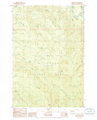 Download a high-resolution, GPS-compatible USGS topo map for Wildcat Mountain, OR (1986 edition)