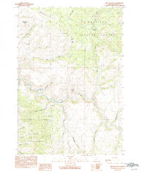 Download a high-resolution, GPS-compatible USGS topo map for Wildcat Point, OR (1990 edition)