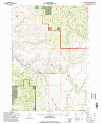 Download a high-resolution, GPS-compatible USGS topo map for Wildcat Point, OR (1998 edition)