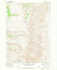 Download a high-resolution, GPS-compatible USGS topo map for Wildhorse Lake, OR (1972 edition)