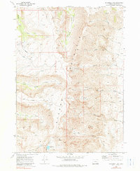 Download a high-resolution, GPS-compatible USGS topo map for Wildhorse Lake, OR (1990 edition)