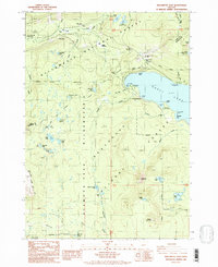 Download a high-resolution, GPS-compatible USGS topo map for Willamette Pass, OR (1986 edition)