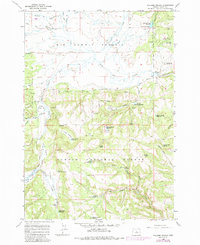 Download a high-resolution, GPS-compatible USGS topo map for Williams Prairie, OR (1985 edition)