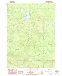Download a high-resolution, GPS-compatible USGS topo map for Willow Lake, OR (1988 edition)