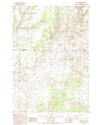 Download a high-resolution, GPS-compatible USGS topo map for Willowdale, OR (1988 edition)