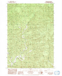 Download a high-resolution, GPS-compatible USGS topo map for Windy Peak, OR (1992 edition)