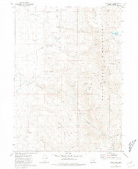 Download a high-resolution, GPS-compatible USGS topo map for Windy Point, OR (1981 edition)