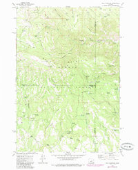 Download a high-resolution, GPS-compatible USGS topo map for Wolf Mountain, OR (1985 edition)