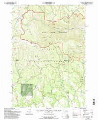 Download a high-resolution, GPS-compatible USGS topo map for Wolf Mountain, OR (1997 edition)