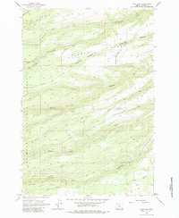 Download a high-resolution, GPS-compatible USGS topo map for Wolf Run, OR (1963 edition)