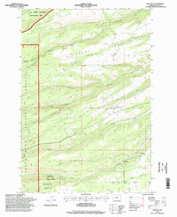 Download a high-resolution, GPS-compatible USGS topo map for Wolf Run, OR (1998 edition)