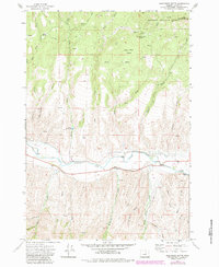 Download a high-resolution, GPS-compatible USGS topo map for Wolfinger Butte, OR (1984 edition)