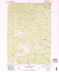 preview thumbnail of historical topo map of Tillamook County, OR in 1979