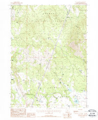 Download a high-resolution, GPS-compatible USGS topo map for Yainax Butte, OR (1988 edition)