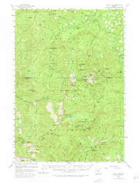 Download a high-resolution, GPS-compatible USGS topo map for Battle Ax, OR (1980 edition)