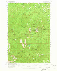 Download a high-resolution, GPS-compatible USGS topo map for Battle Ax, OR (1973 edition)