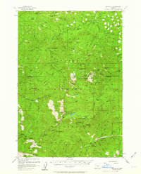 Download a high-resolution, GPS-compatible USGS topo map for Battle Ax, OR (1963 edition)