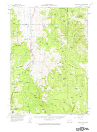 Download a high-resolution, GPS-compatible USGS topo map for Calamity Butte, OR (1963 edition)