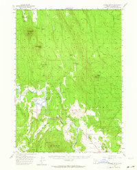 Download a high-resolution, GPS-compatible USGS topo map for Calimus Butte, OR (1964 edition)
