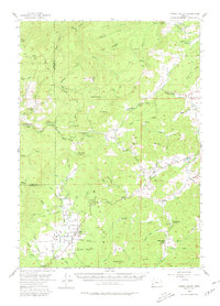 Download a high-resolution, GPS-compatible USGS topo map for Camas Valley, OR (1980 edition)
