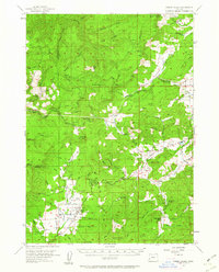 Download a high-resolution, GPS-compatible USGS topo map for Camas Valley, OR (1962 edition)