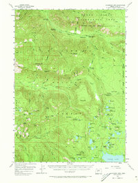 Download a high-resolution, GPS-compatible USGS topo map for Chucksney Mtn, OR (1973 edition)