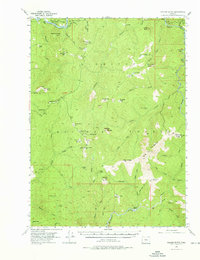Download a high-resolution, GPS-compatible USGS topo map for Collier Butte, OR (1976 edition)