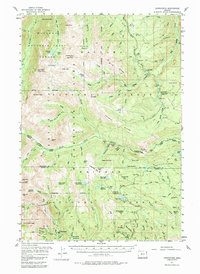 Download a high-resolution, GPS-compatible USGS topo map for Cornucopia, OR (1984 edition)