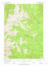 Download a high-resolution, GPS-compatible USGS topo map for Cornucopia, OR (1961 edition)