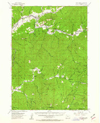 Download a high-resolution, GPS-compatible USGS topo map for Days Creek, OR (1963 edition)