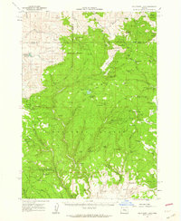 Download a high-resolution, GPS-compatible USGS topo map for Delintment Lake, OR (1962 edition)