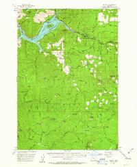 Download a high-resolution, GPS-compatible USGS topo map for Detroit, OR (1963 edition)