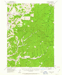 Download a high-resolution, GPS-compatible USGS topo map for Dixonville, OR (1963 edition)