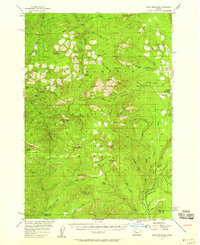 Download a high-resolution, GPS-compatible USGS topo map for Echo Mountain, OR (1958 edition)