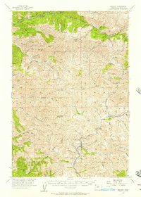 Download a high-resolution, GPS-compatible USGS topo map for Enright, OR (1957 edition)