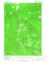 Download a high-resolution, GPS-compatible USGS topo map for Fish Creek Mtn, OR (1963 edition)