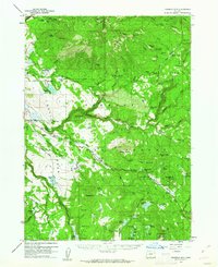 Download a high-resolution, GPS-compatible USGS topo map for Fishhole Mtn, OR (1962 edition)