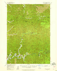 Download a high-resolution, GPS-compatible USGS topo map for Goodwin Peak, OR (1958 edition)