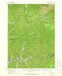 Download a high-resolution, GPS-compatible USGS topo map for Goodwin Peak, OR (1966 edition)