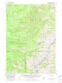 Download a high-resolution, GPS-compatible USGS topo map for Homestead, OR (1980 edition)
