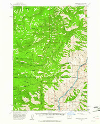 Download a high-resolution, GPS-compatible USGS topo map for Homestead, OR (1961 edition)