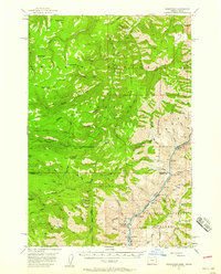 Download a high-resolution, GPS-compatible USGS topo map for Homestead, OR (1958 edition)