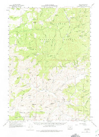 Download a high-resolution, GPS-compatible USGS topo map for Izee, OR (1975 edition)