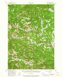 Download a high-resolution, GPS-compatible USGS topo map for Marys Peak, OR (1963 edition)