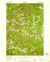 Download a high-resolution, GPS-compatible USGS topo map for Marys Peak, OR (1958 edition)