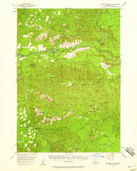 Download a high-resolution, GPS-compatible USGS topo map for Mc Kenzie Bridge, OR (1958 edition)